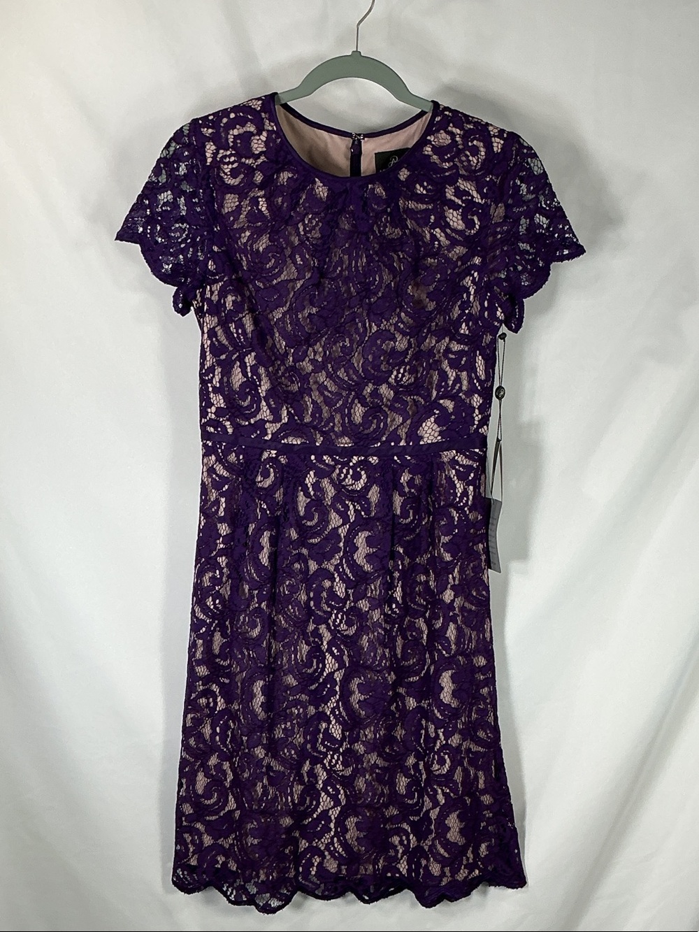 Adrianna Papell Purple Lace Midi A-Line Cocktail Dress 4 Cream Nude Lining